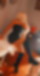 611705620