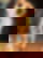 636670789