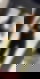 604148755