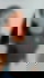 658913753
